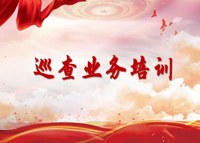 TVT体育医疗举办全级次巡察业务培训